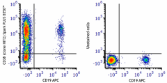 Spark PLUS B550™ anti-human CD38 Antibody (303563)