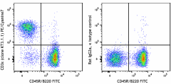 PE/Cyanine7 anti-mouse CD3ε Antibody (155622)
