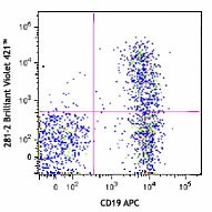 Brilliant Violet 421™ anti-mouse CD138 (Syndecan-1) Antibody (142507)