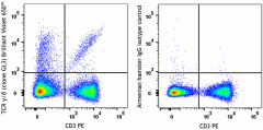 Brilliant Violet 650™ anti-mouse TCR γ/δ Antibody (118147)