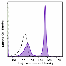 Spark NIR™ 685 anti-mouse CD19 Antibody (115567)