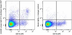 Brilliant Violet 570™ anti-mouse CX3CR1 Antibody (149061)