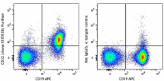 Purified anti-mouse CD32 (Fcgr2) Antibody (156402)