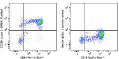 Purified anti-human CD288 (TLR8) Antibody (395502)