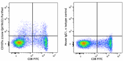 Purified anti-human CD107a (LAMP-1) Recombinant Antibody (314702)