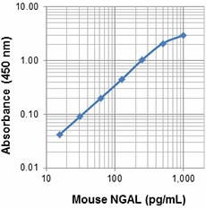 Biotin anti-mouse NGAL (Lipocalin-2) Antibody (532304)