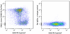 Purified anti-mouse CD62L Antibody (161202)