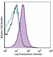 PE/Cyanine7 anti-mouse H-2Kb bound to SIINFEKL Antibody (141607)
