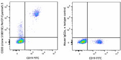 PerCP/Cyanine5.5 anti-human CD20 Antibody (375509)