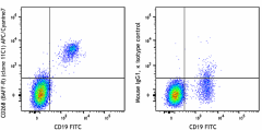APC/Cyanine7 anti-human CD268 (BAFF-R) Antibody (316912)