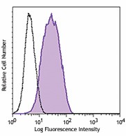 PE anti-human Cadherin 11 Antibody (368703)