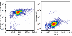 Spark UV™ 387 anti-mouse CD45 Antibody (103187)