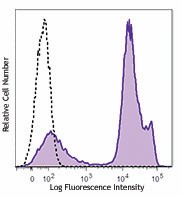 Brilliant Violet 510™ anti-mouse CD24 Antibody (101831)