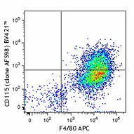 Brilliant Violet 421™ anti-mouse CD115 (CSF-1R) Antibody (135513)