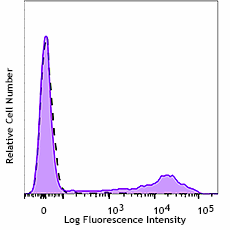 Purified anti-human CD8a Recombinant Antibody (365102)