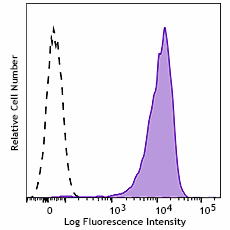 Purified anti-human CD138 (Syndecan-1) Antibody (390104)