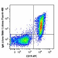 Alexa Fluor® 488 anti-mouse IgM Antibody (406521)
