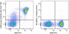 APC/Fire™ 750 anti-mouse CD38 Antibody (165605)