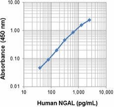 Biotin anti-human NGAL (Lipocalin-2) Antibody (503304)