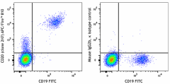APC/Fire™ 810 anti-human CD20 Antibody (302379)