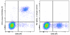 PE anti-human CD16 Antibody (390905)