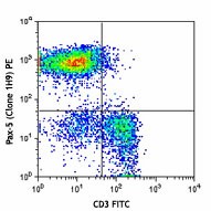 PE anti-Pax-5 Antibody (649707)