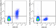 PE anti-human BLNK Phospho (Tyr96) Antibody (382203)