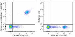 Spark PLUS B574™ anti-human CD19 Antibody (390411)