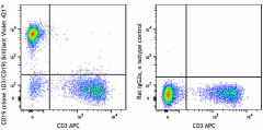 Brilliant Violet 421™ anti-mouse CD19 Antibody (152421)