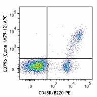 APC anti-mouse CD79b (Igβ) Antibody (132807)