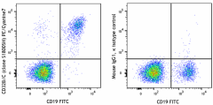 PE/Cyanine7 anti-human CD32B/C Antibody (398313)