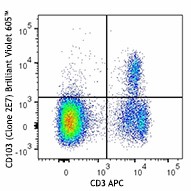 Brilliant Violet 605™ anti-mouse CD103 Antibody (121433)
