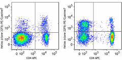 PE/Cyanine7 anti-mouse/human Helios Antibody (137235)