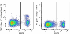 Alexa Fluor® 700 anti-mouse FOXP3 Antibody (126421)
