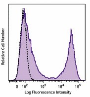 Brilliant Violet 510™ anti-rat CD90/mouse CD90.1 (Thy1.1) Antibody (202535)