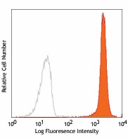 PE anti-human CD172a/b (SIRPα/β) Antibody (323805)