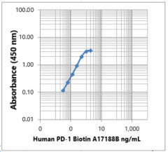 Biotin anti-human CD279 (PD-1) Antibody (621627)