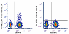 APC anti-human CD198 (CCR8) Antibody (365807)