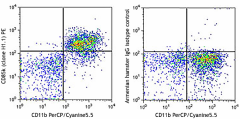 PE anti-mouse CD85k (gp49 Receptor) Antibody (144903)