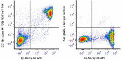 PE/Fire™ 744 anti-mouse/human CD11b Antibody (101232)
