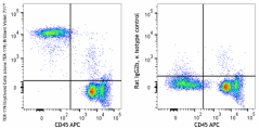 Brilliant Violet 711™ anti-mouse TER-119/Erythroid Cells Antibody (116267)