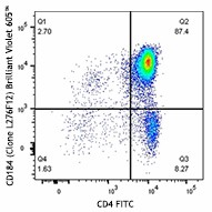 Brilliant Violet 605™ anti-mouse CD184 (CXCR4) Antibody (146519)