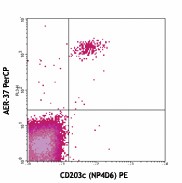 PerCP anti-human FcεRIα Antibody (334616)
