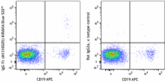 KIRAVIA Blue 520™ anti-human IgG Fc Antibody (410733)