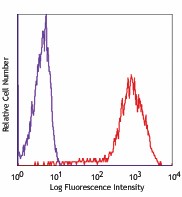Purified anti-human CD81 (TAPA-1) Antibody (349501)