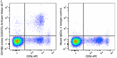 Brilliant Violet 421™ anti-human CD158b (KIR2DL2/KIR2DL3) Antibody (317511)