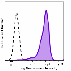PE anti-human CD117 (c-kit) Recombinant Antibody (332203)
