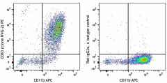 PE anti-mouse CD63 Antibody (143903)