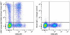 Brilliant Violet 605™ anti-human CD57 Recombinant Antibody (393303)