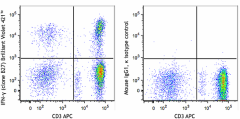 Brilliant Violet 421™ anti-human IFN-γ Antibody (506537)